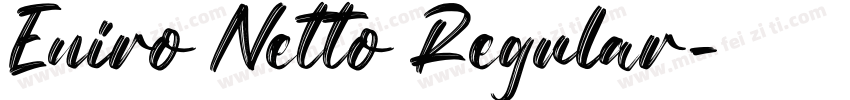 Eniro Netto Regular字体转换